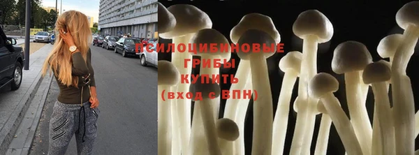 первитин Алексин