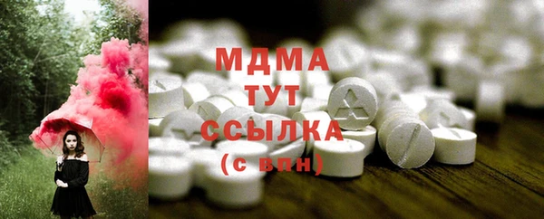PSILOCYBIN Алзамай